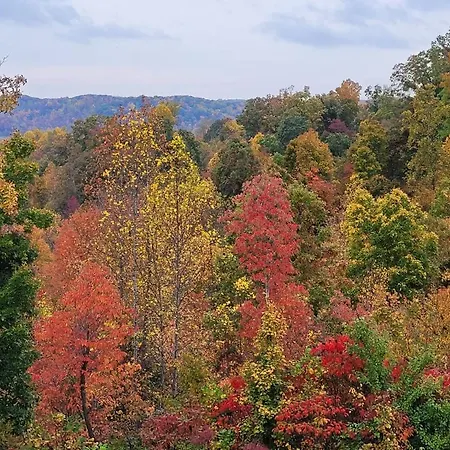 Great Guest Suite With Private Entry & Deck! Only 25 Mins To Nashville! Pets Welcome With Pet Fee Ashland City Exterior foto