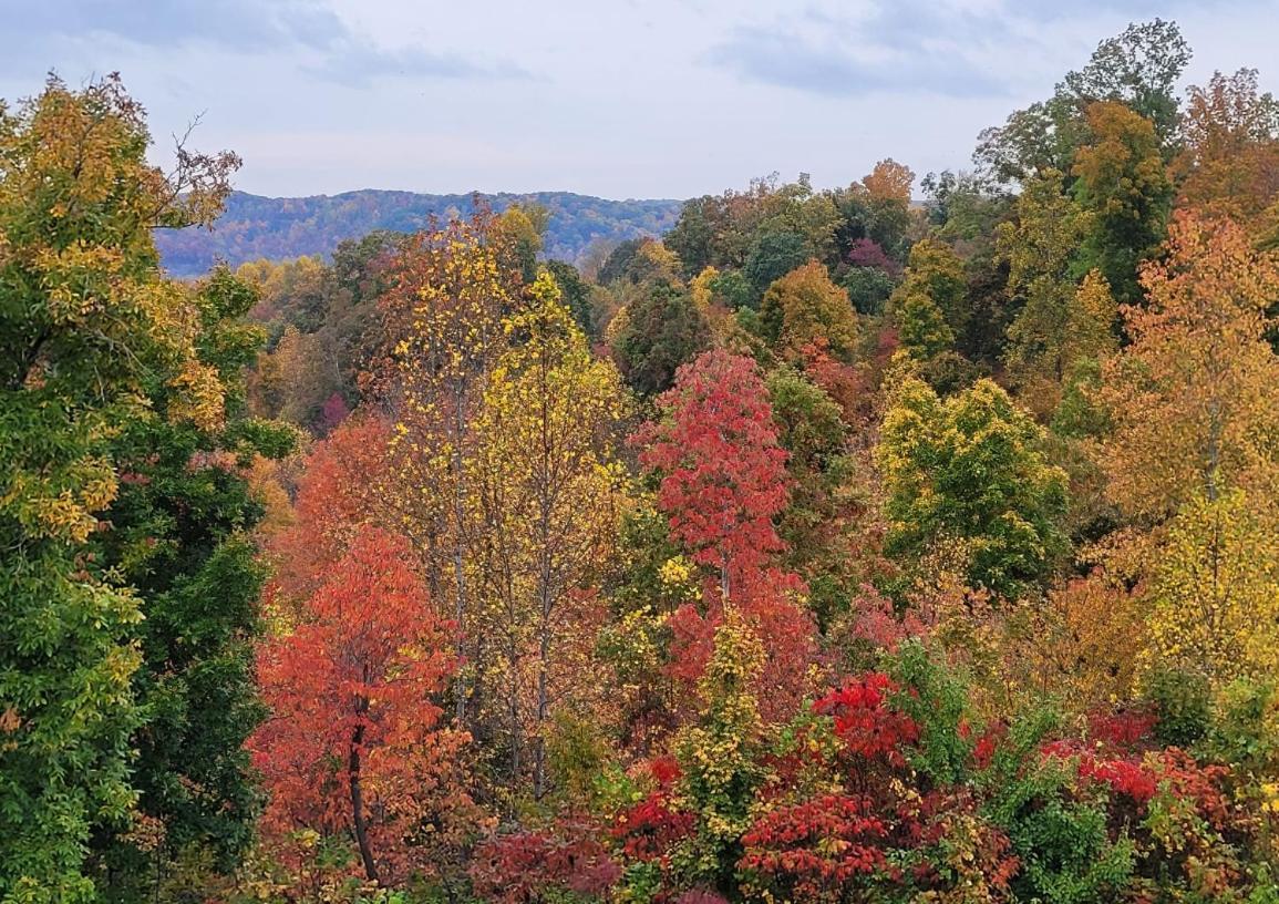 Great Guest With Private Entry & Deck! Only 25 Mins To Nashville! Pets Welcome With Pet Fee Homestay Ashland City