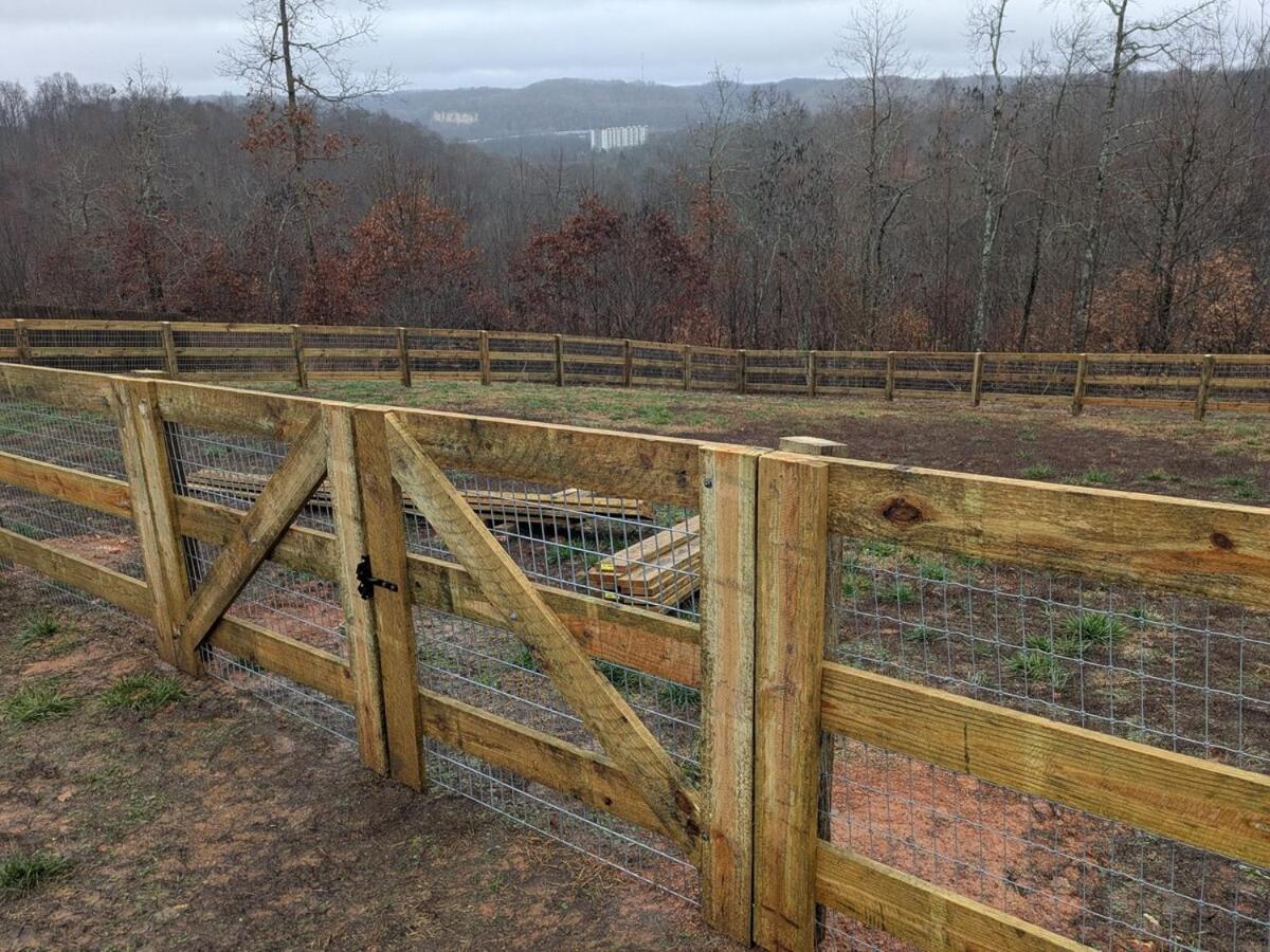 Great Guest With Private Entry & Deck! Only 25 Mins To Nashville! Pets Welcome With Pet Fee Homestay